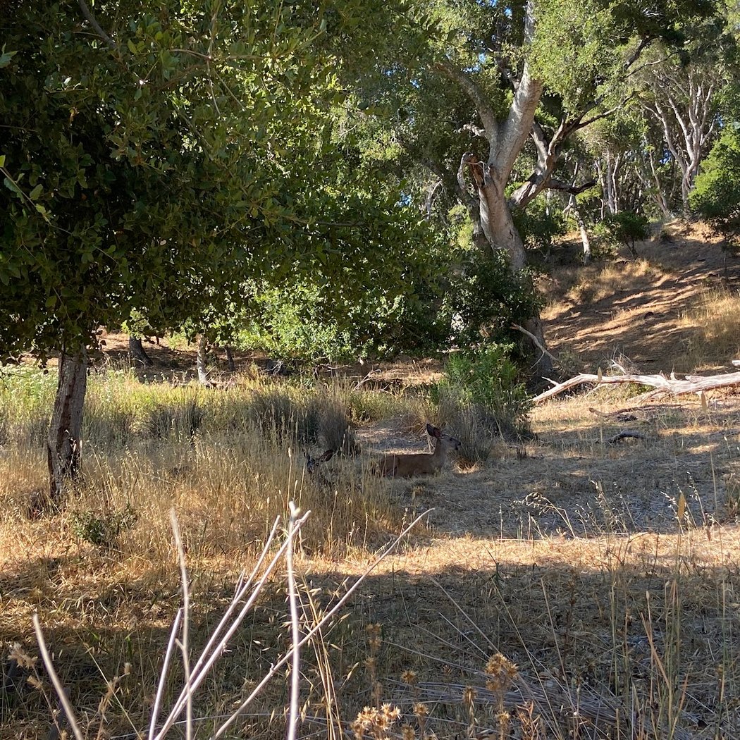 Crystal Springs Park 3