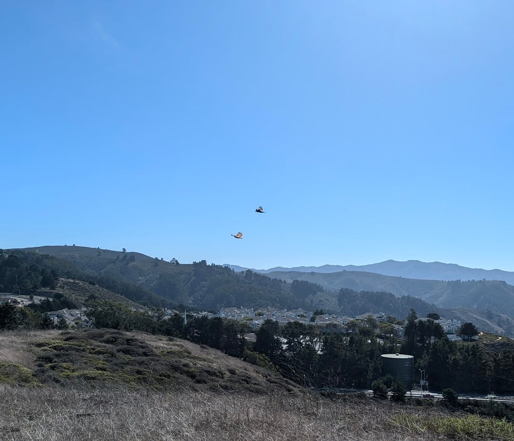 Milagra Ridge Hiking Trailhead 3