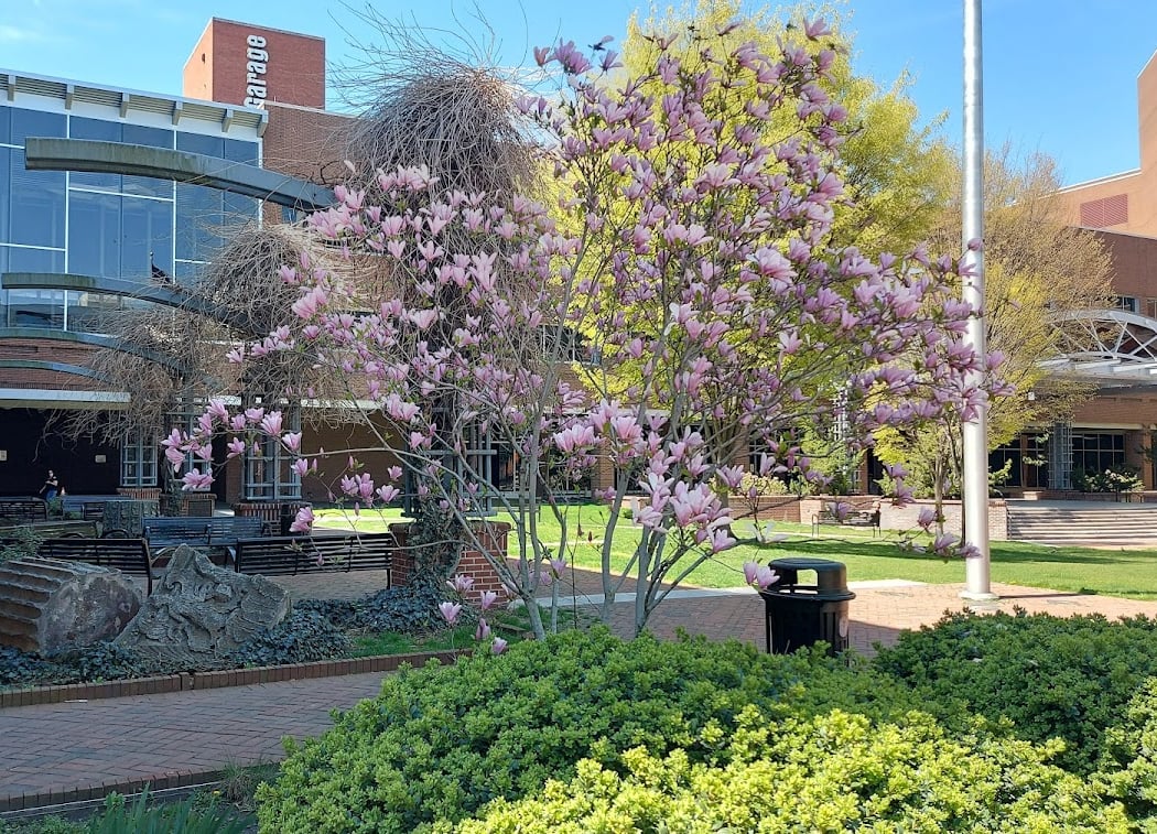 Binns Park 3