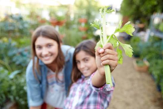 Intro to Organic Gardening Class 2