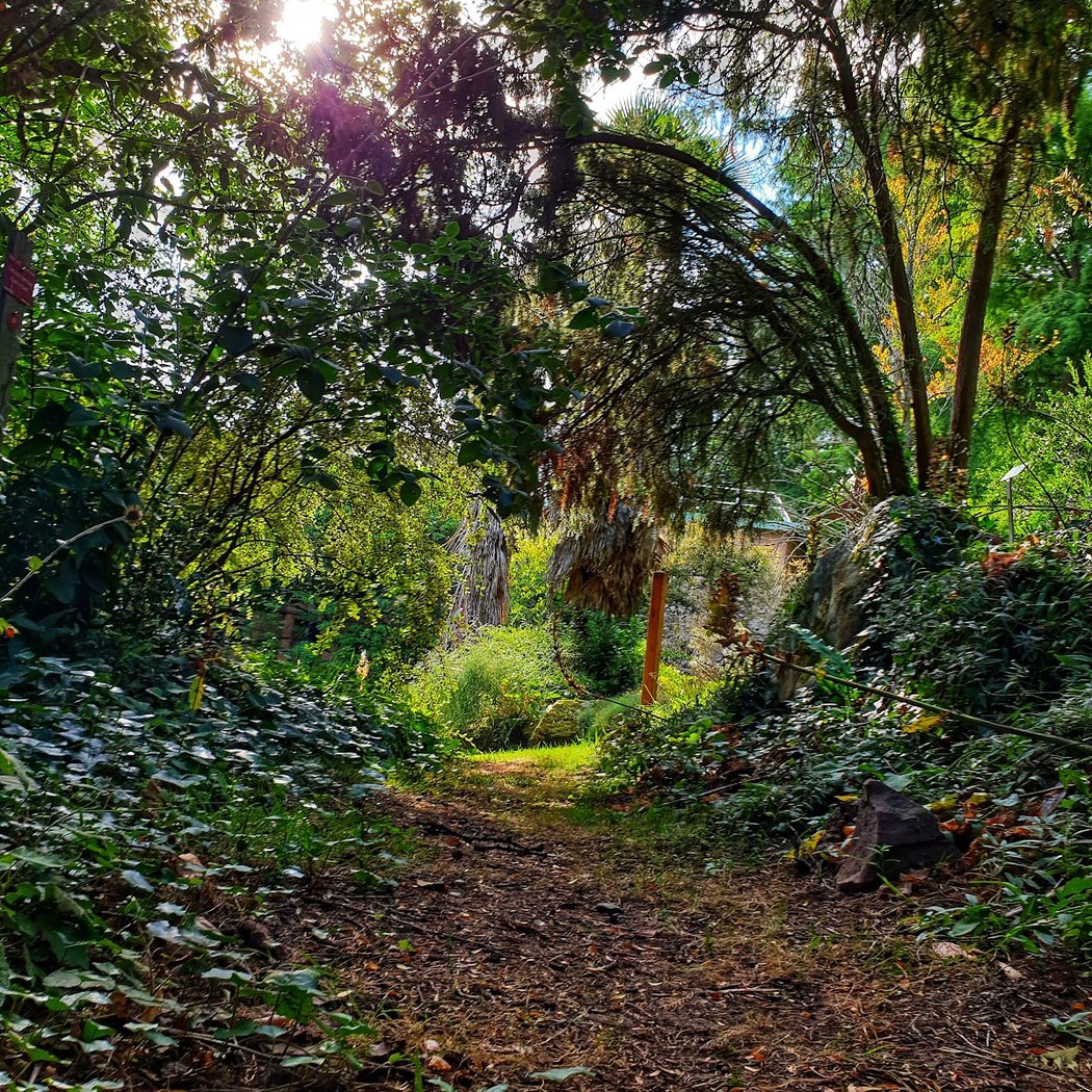Rendez-vous aux Jardins 2026 3