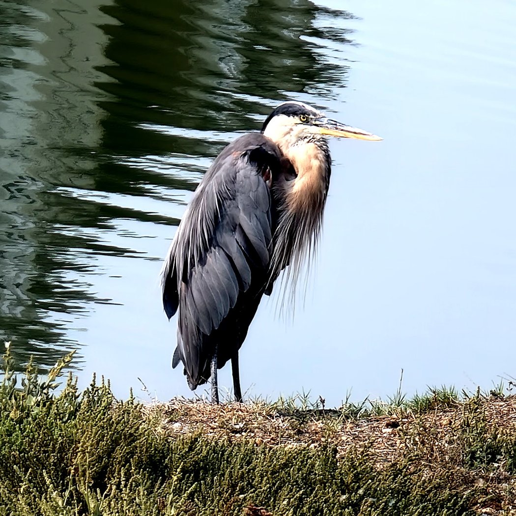 Preserve Park 1