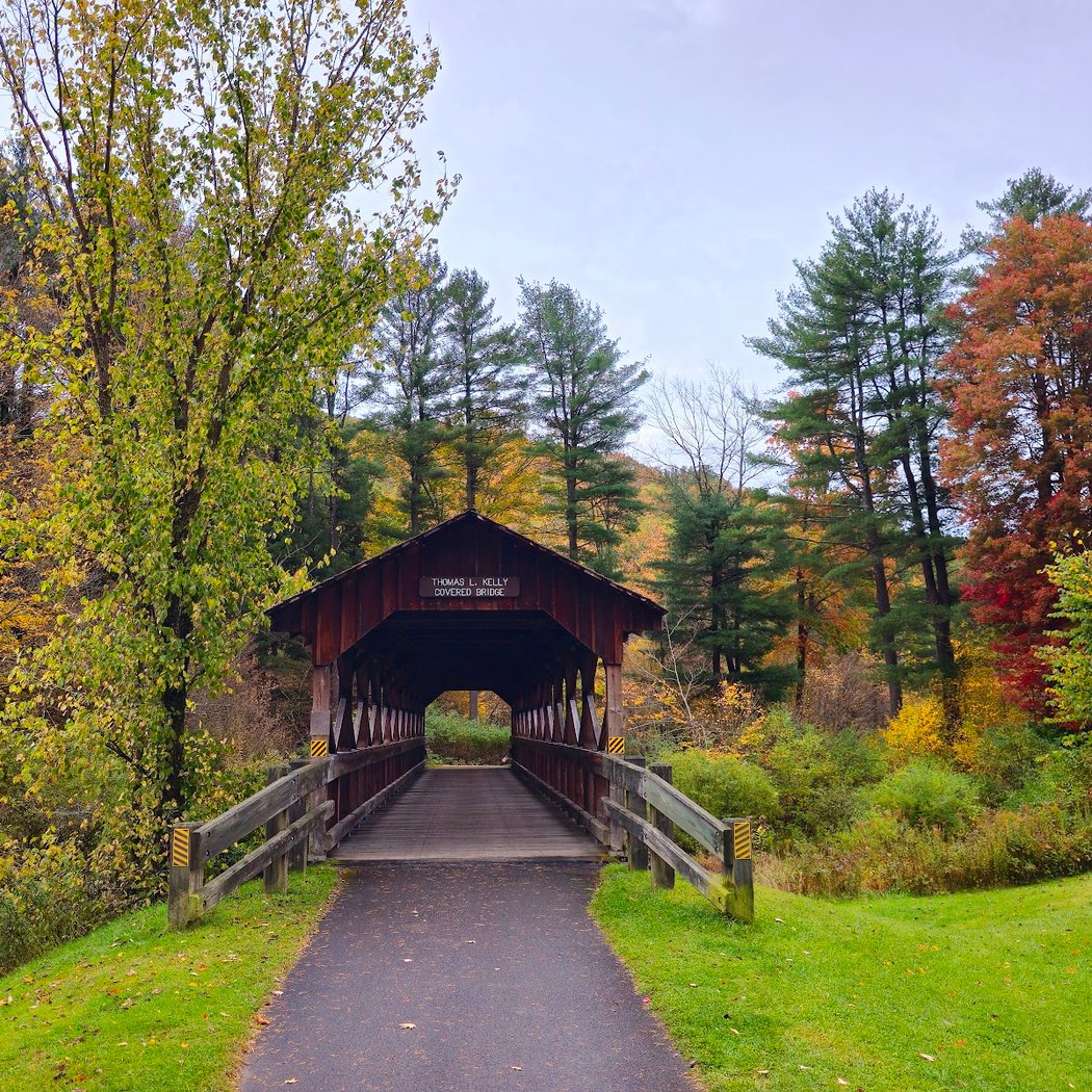 Allegany State Park 3