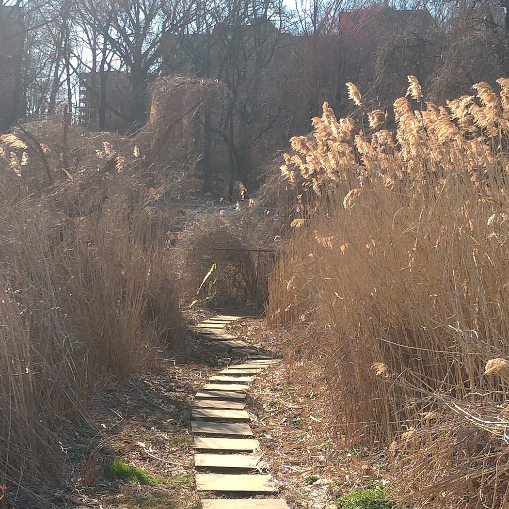 Pat Dolan Trail 4
