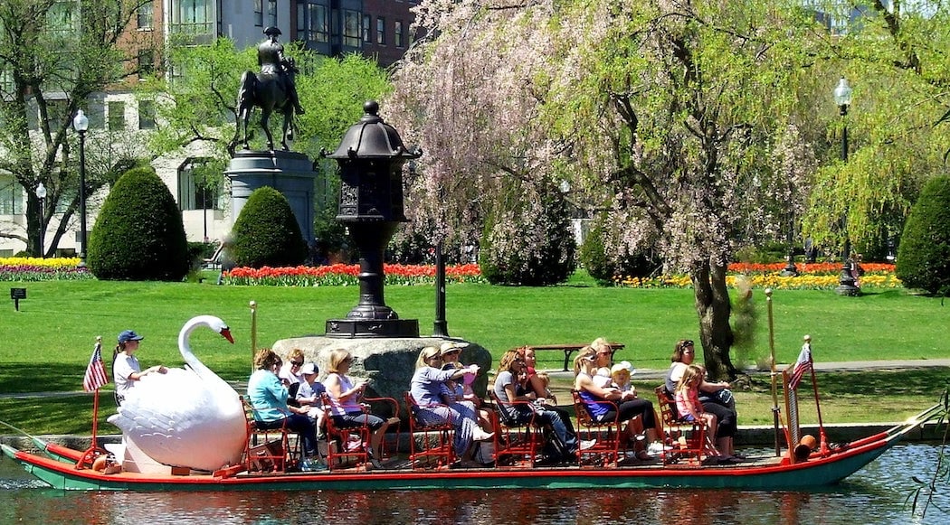 Public Garden 2