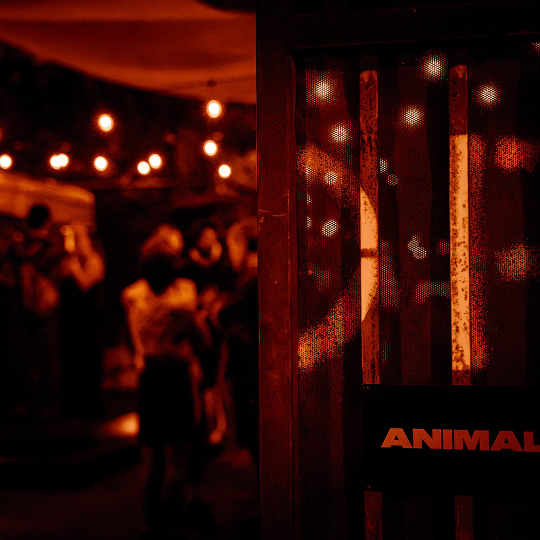 ANIMAL 2
