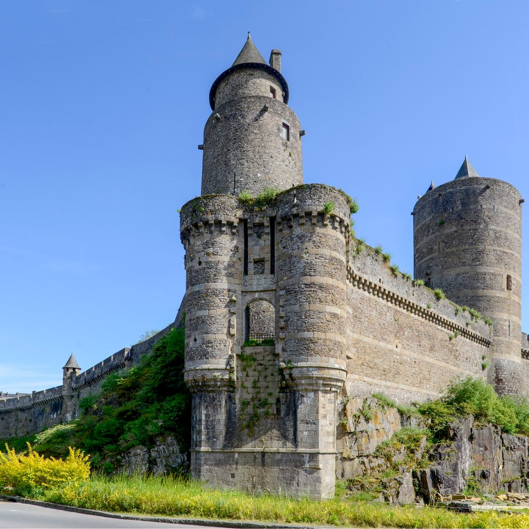 Château de Fougères 1