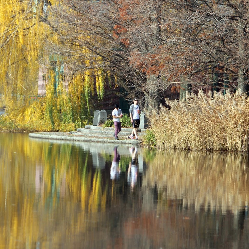 Central Park Pumpkin Flotilla 1
