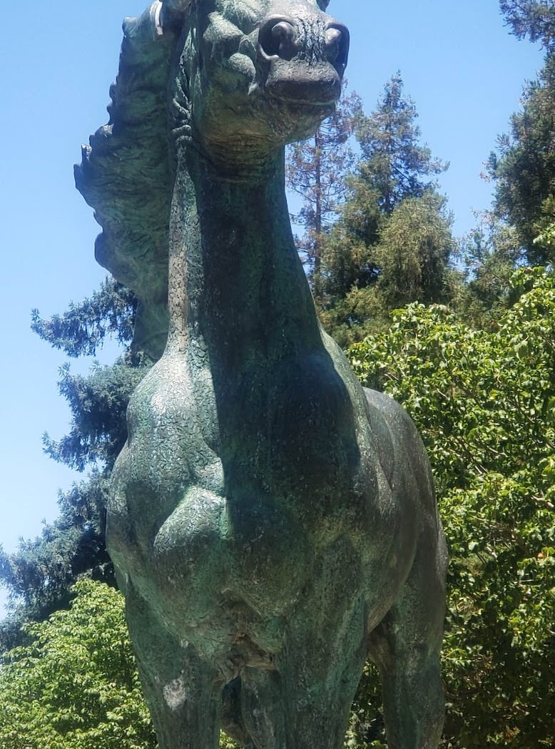 Rotary Park 1