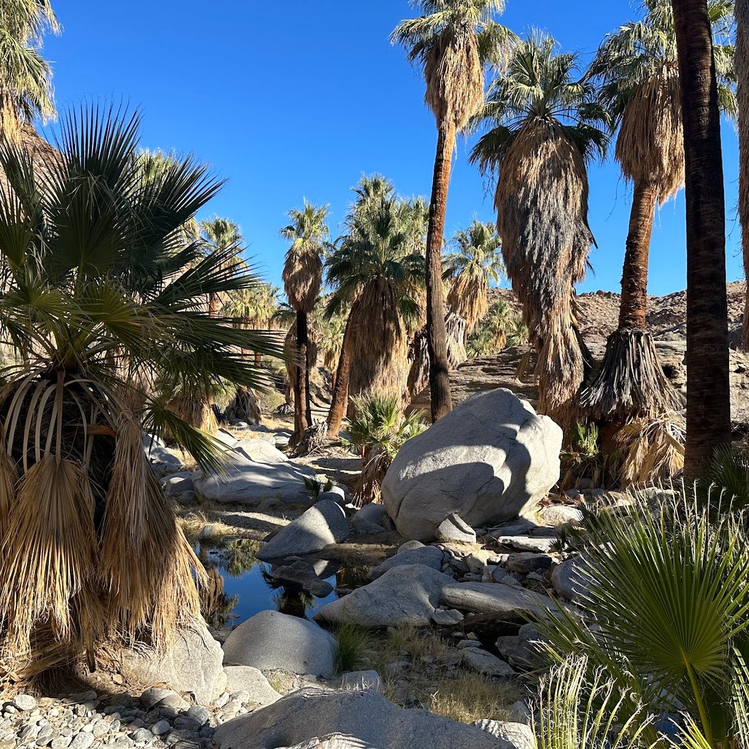 Indian Canyons 3