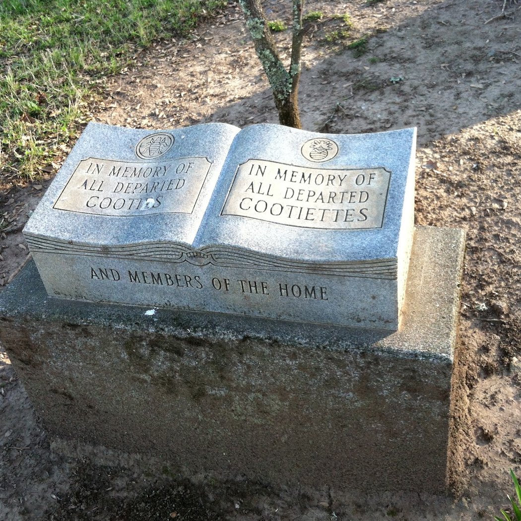Memorial Grove of State Trees 3