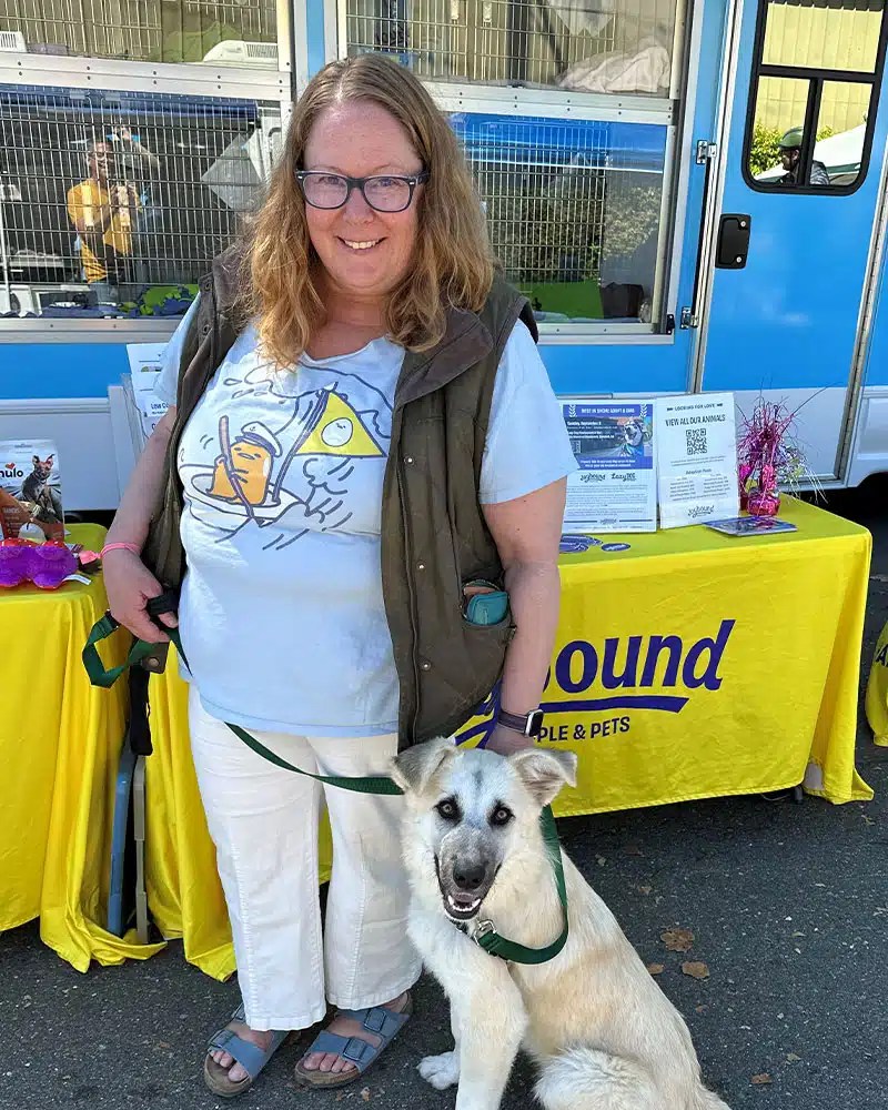 Mobile Adoptions 3