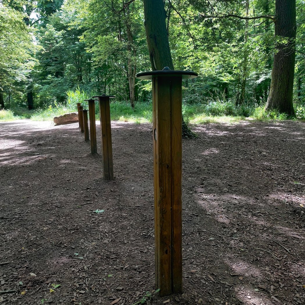 Parcours sportif 4