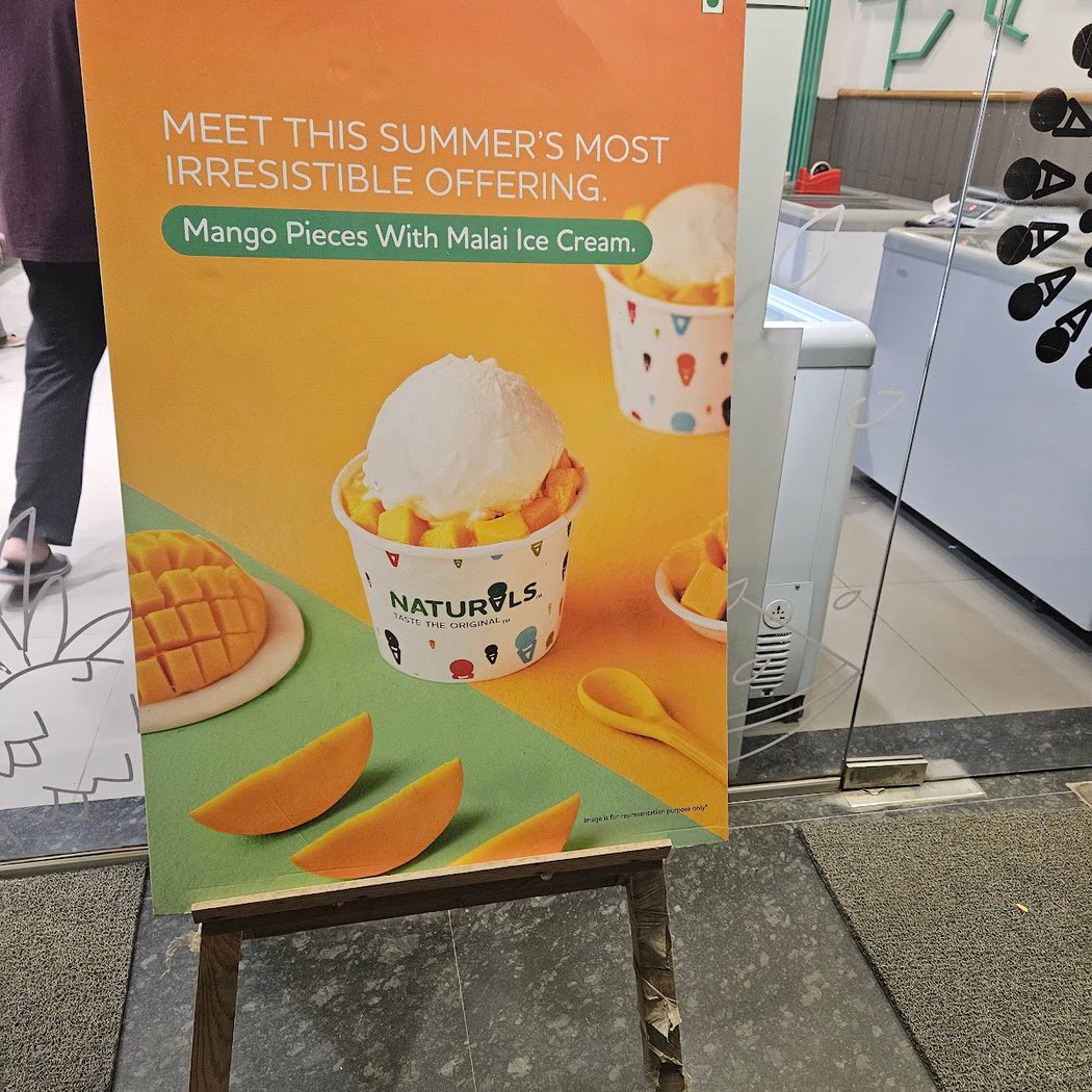 Naturals Ice Cream 1