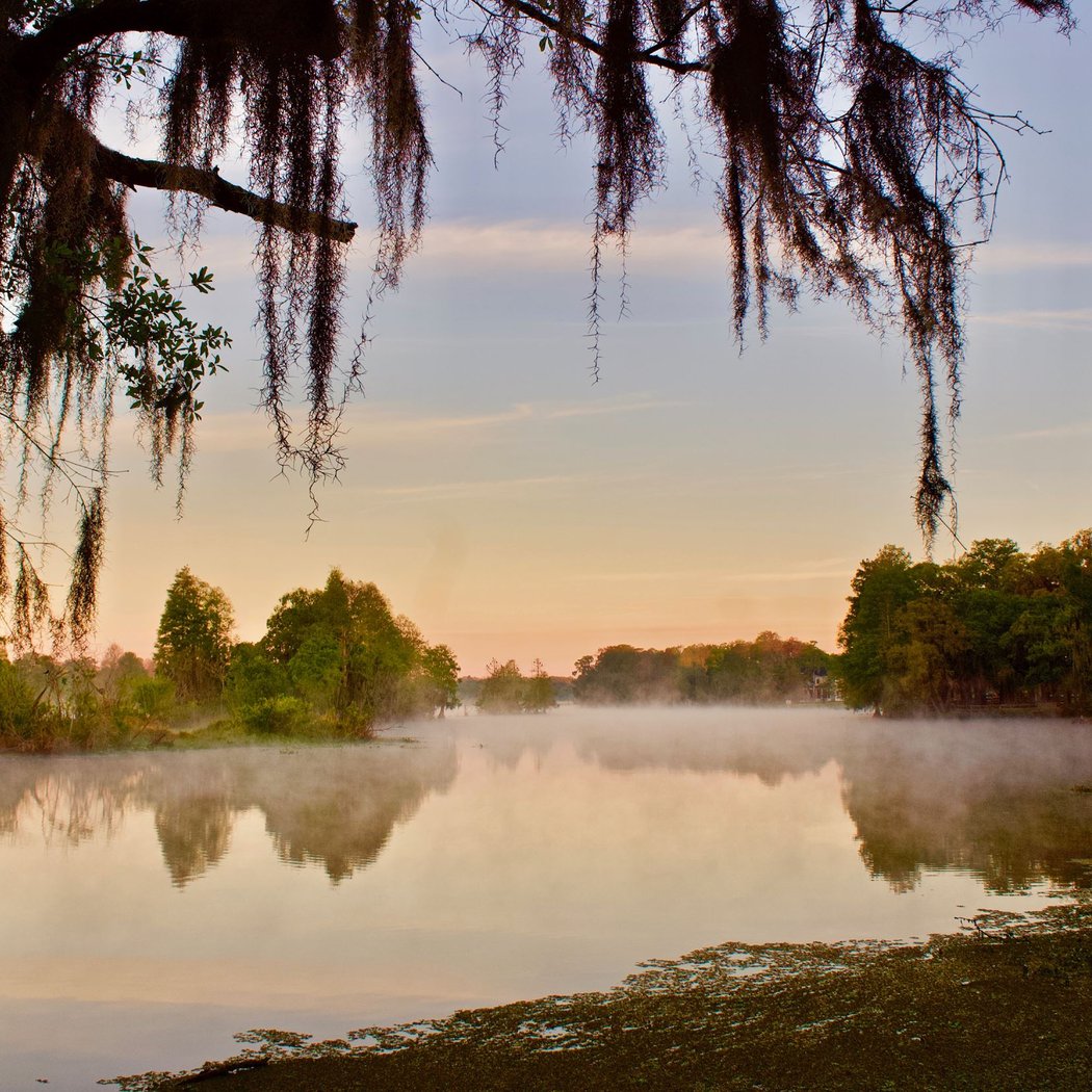 Riverhills Park 1