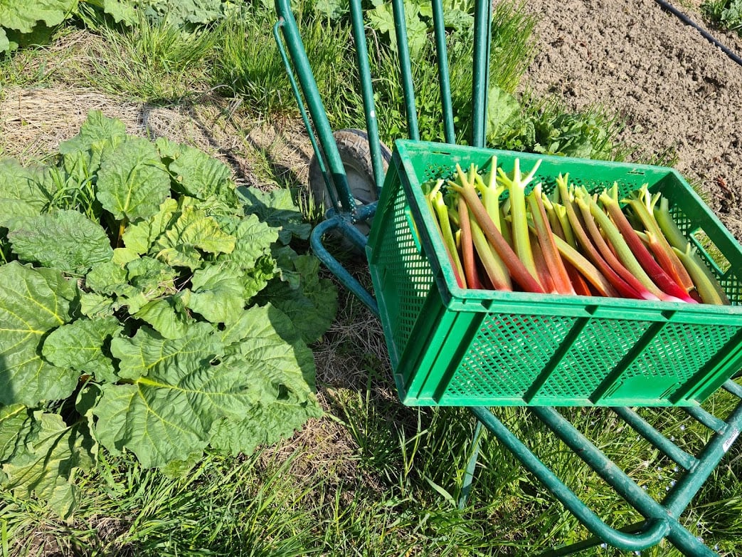 Visites éducatives à la Ferme de la Ganzau 2
