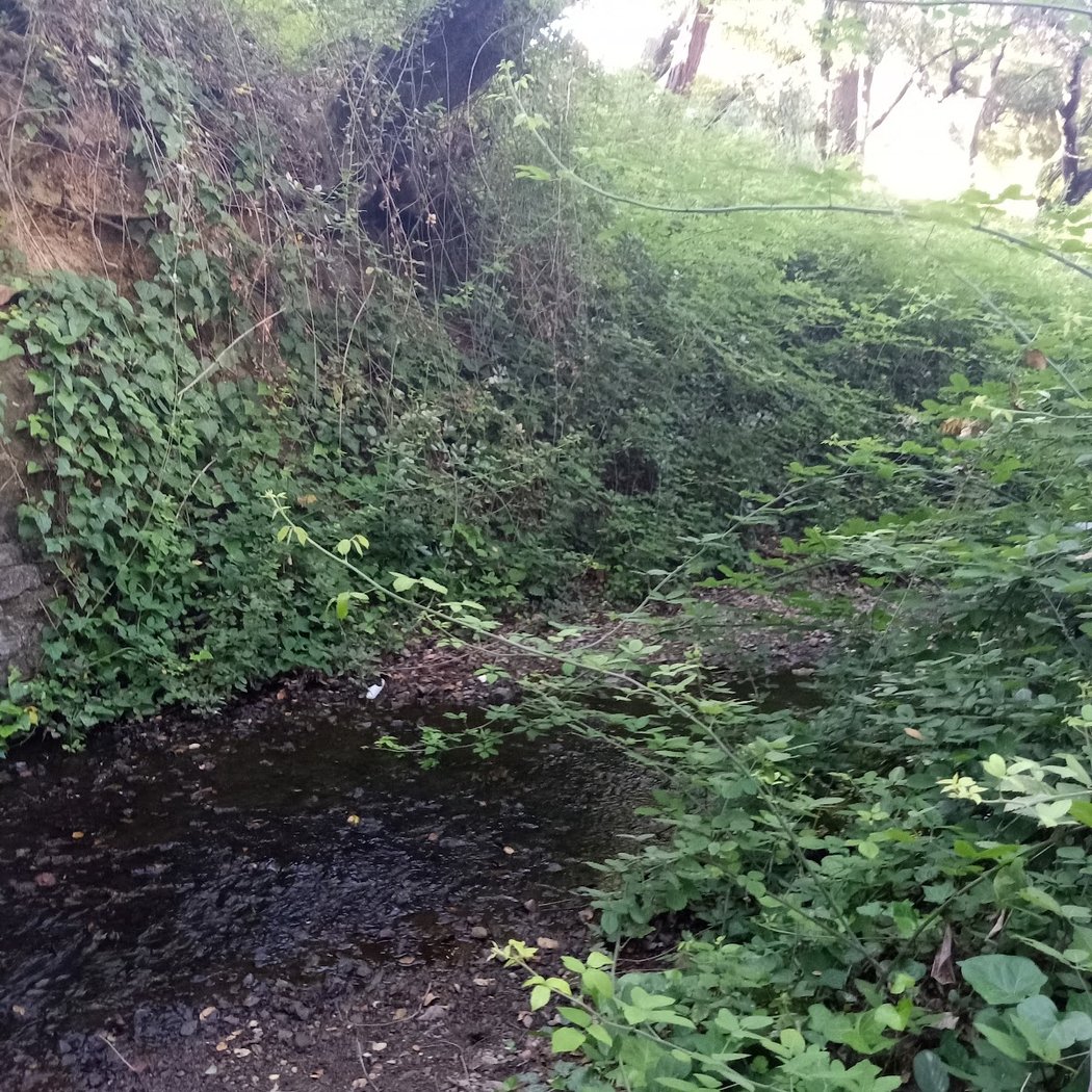 Oak Glen Park 2