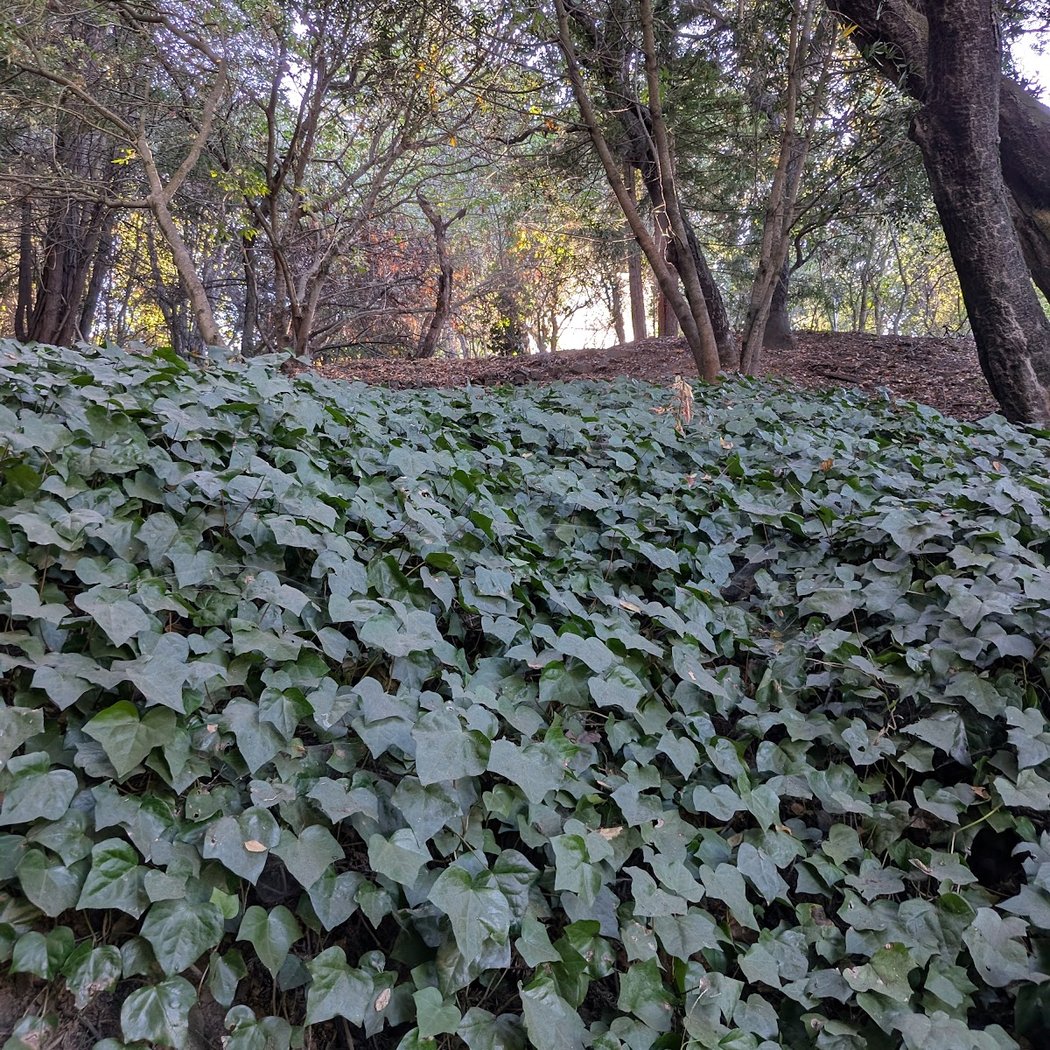 Lake Temescal Beach 2