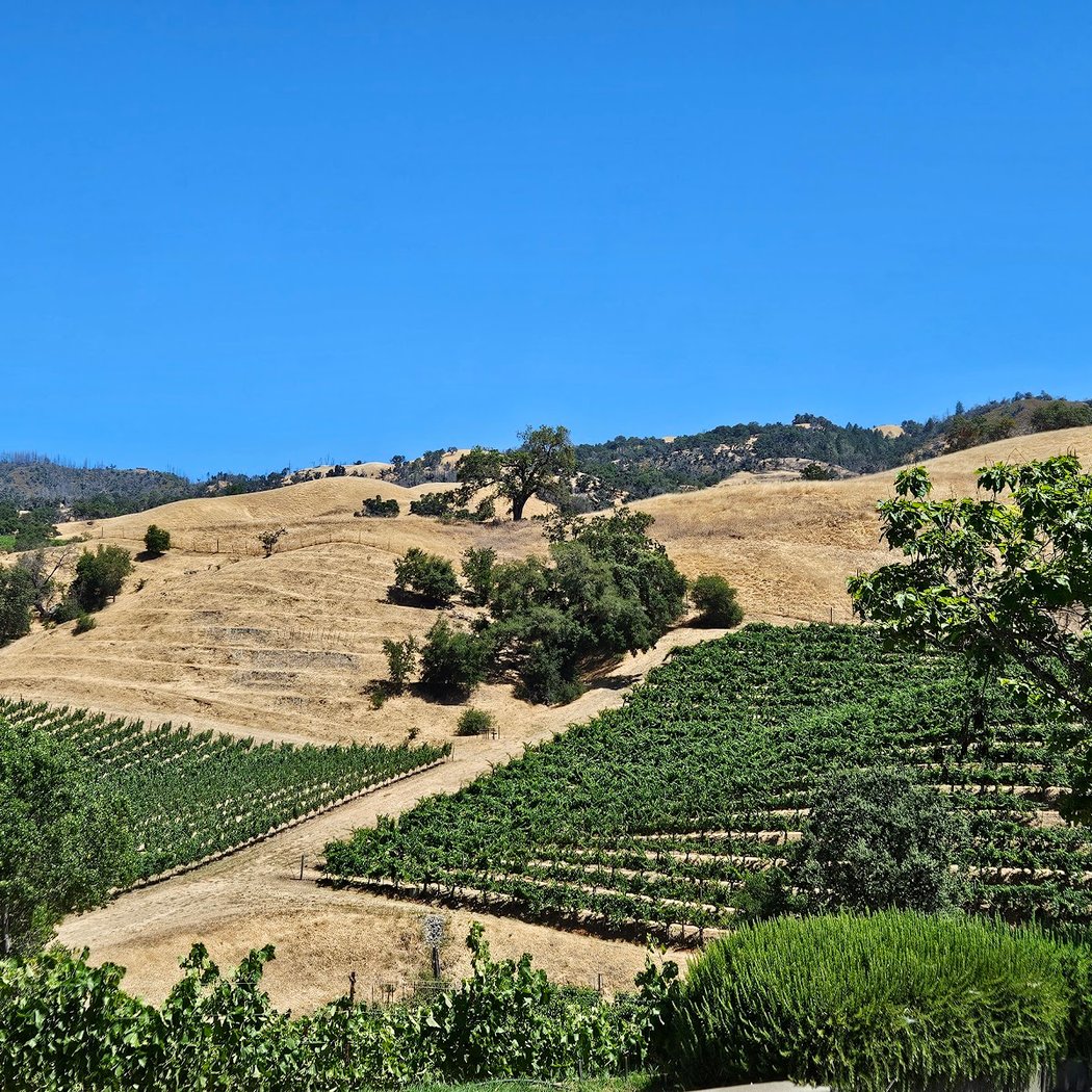 Hanna Winery 3