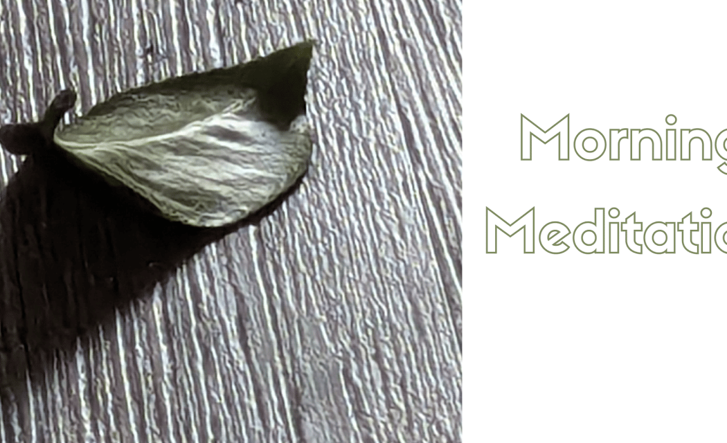 Morning Meditation 1