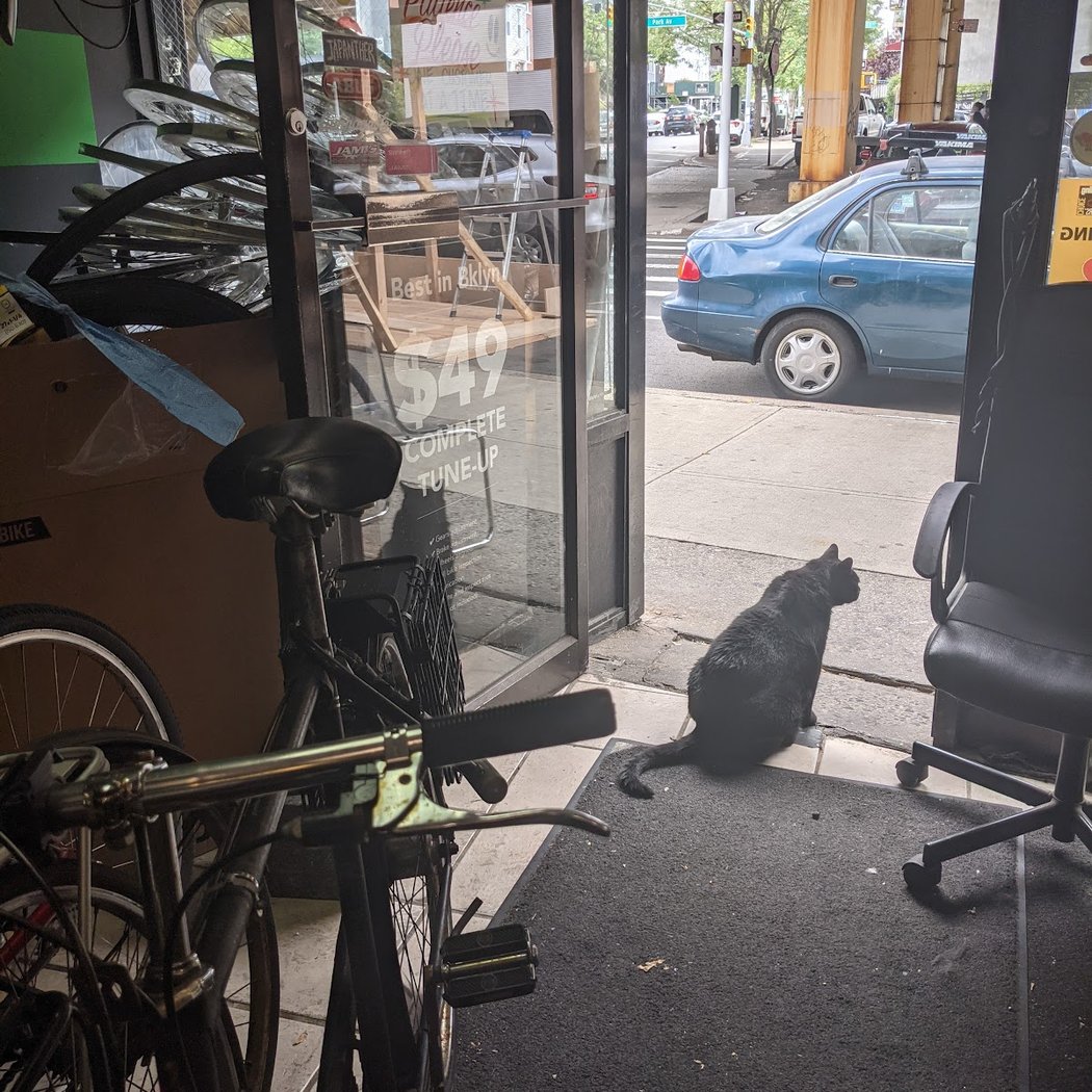 Bicycle Station 3