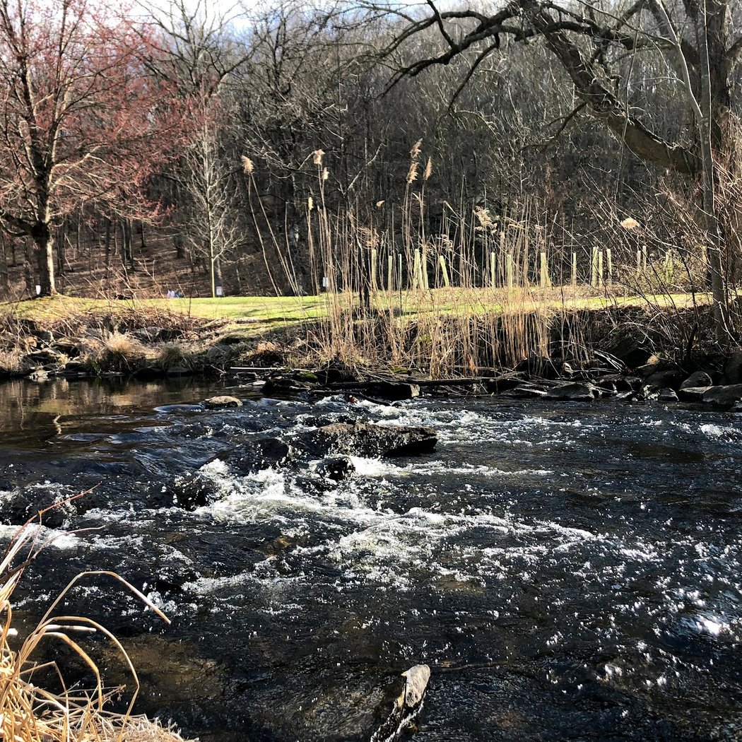 Ward Pound Ridge Reservation 3