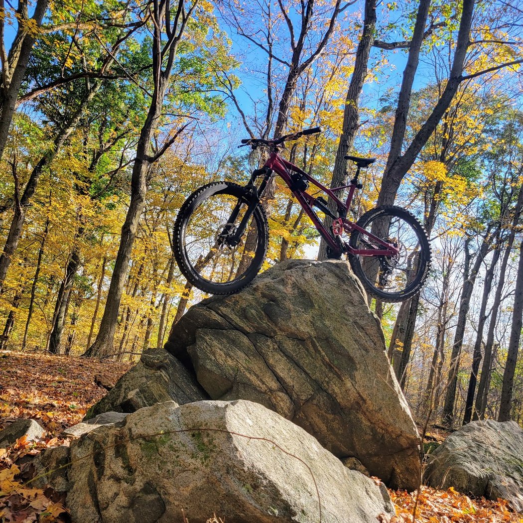 Graham Hills Park 1