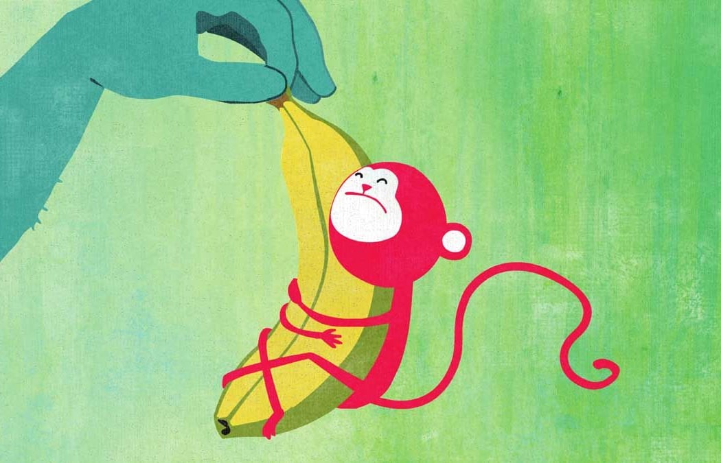Family Saturday Screenings 1