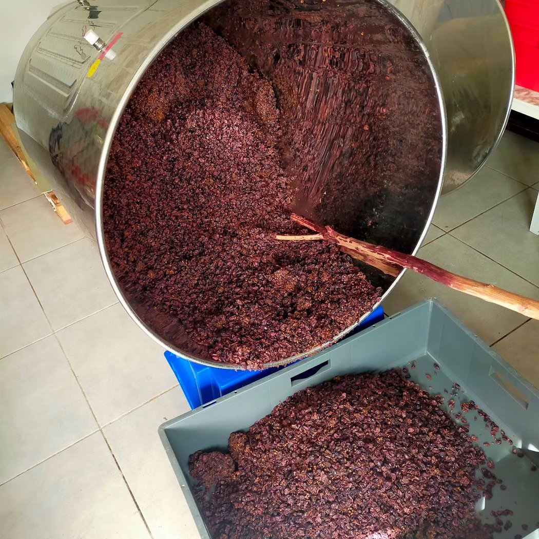 Atelier de production de vins artisanaux et dégustation oenologique 4