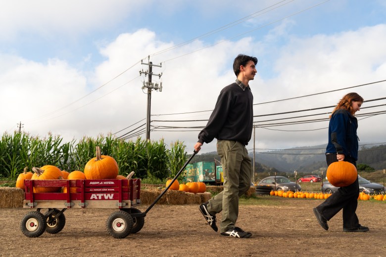 Farmer John's Pumpkin Farm 3