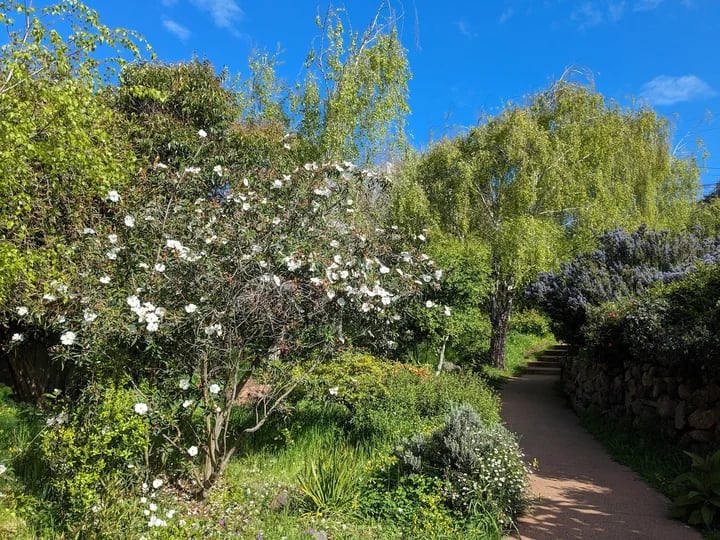 Visitacion Valley Greenway Community Garden 1