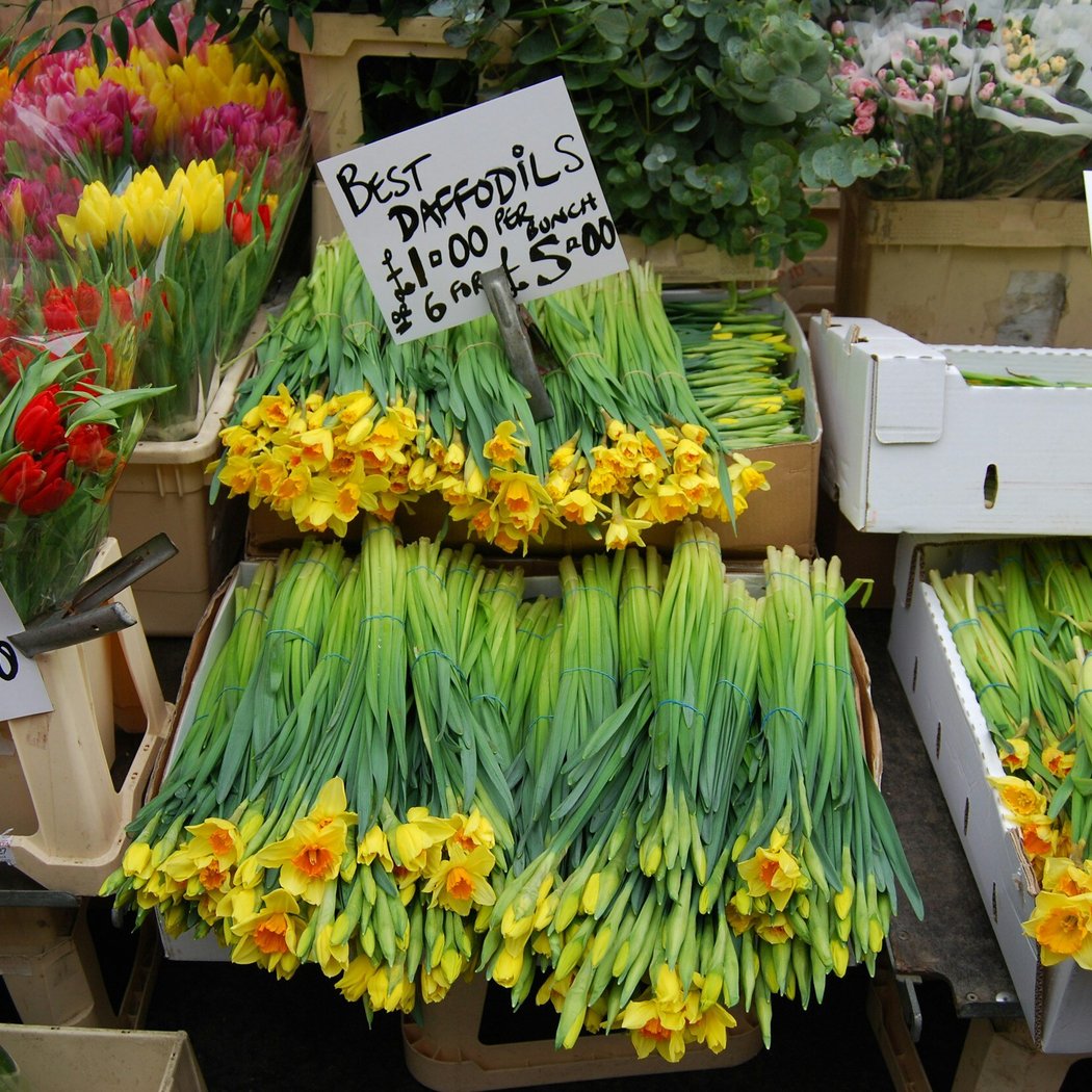Columbia Road Flower Market 1
