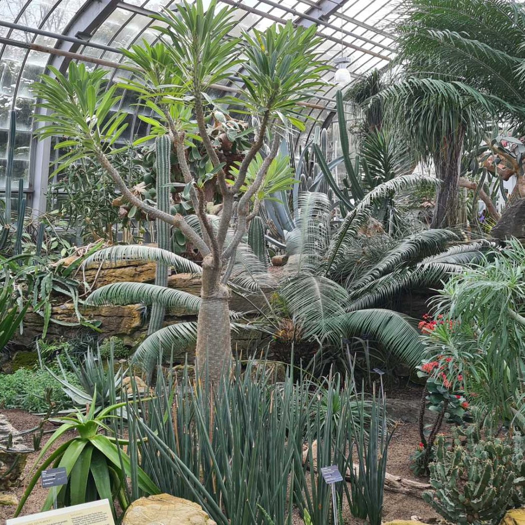 Jardin botanique de Montréal 5