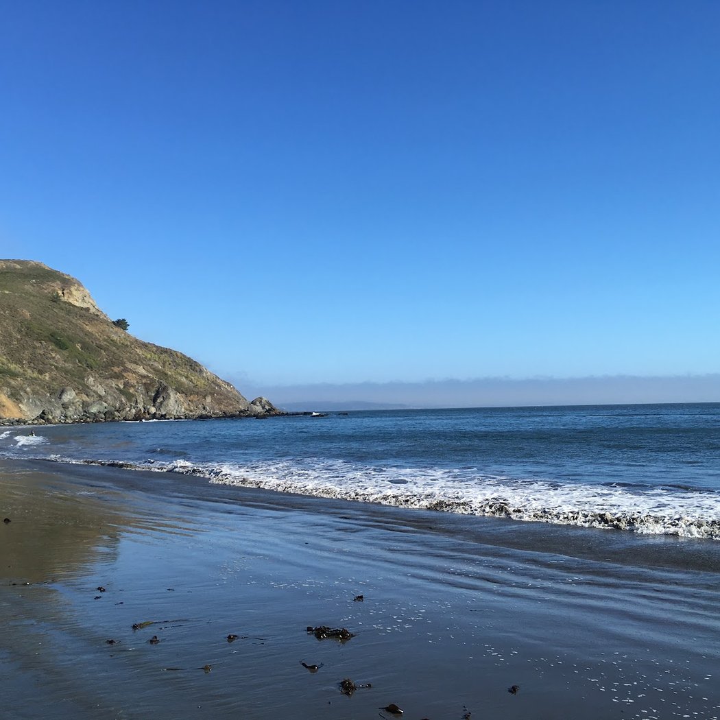 Muir Beach Clean-up 2