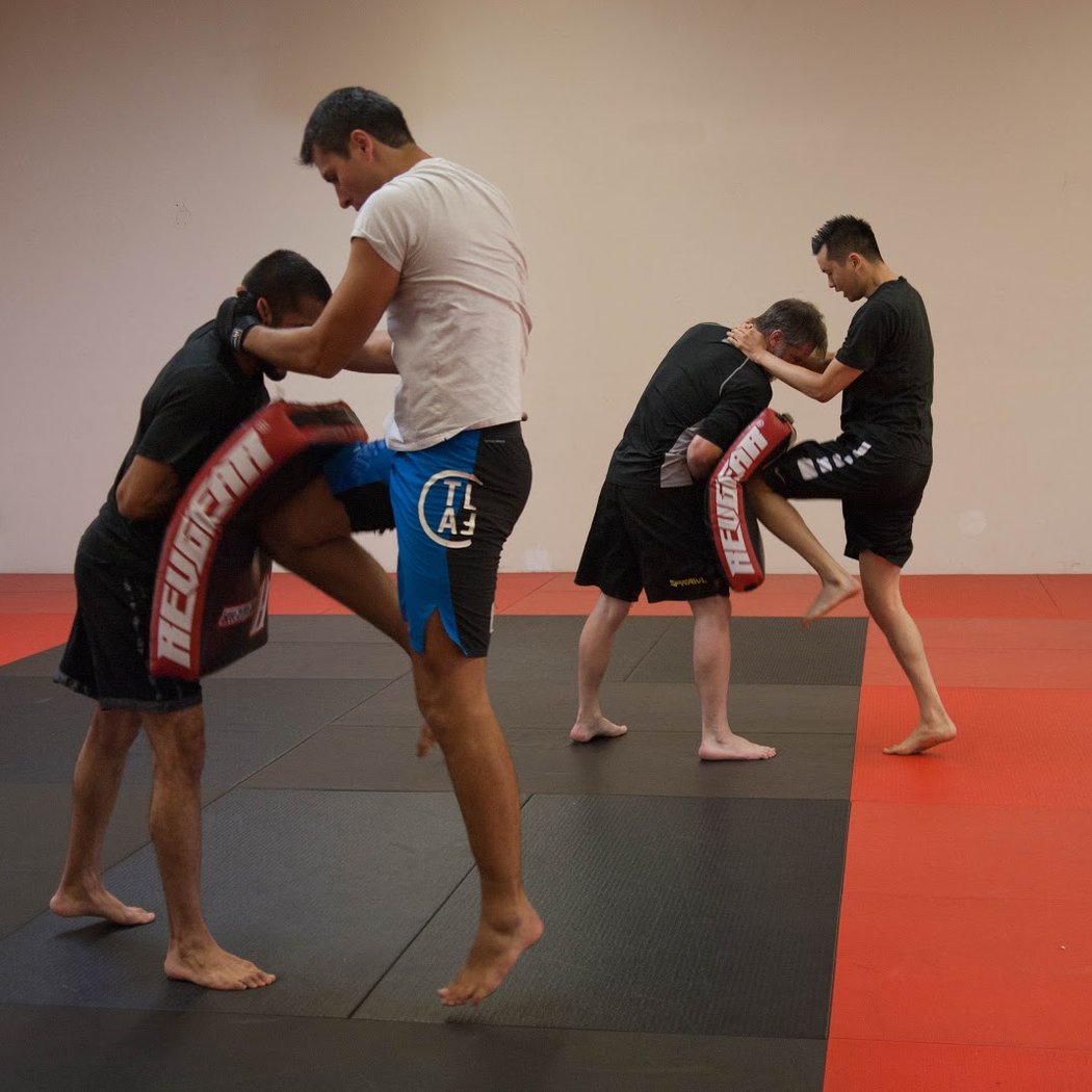Tosetti Institute of MMA & Fitness 3