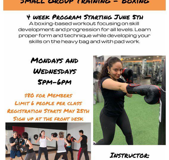 Small Group Training – Boxing 1