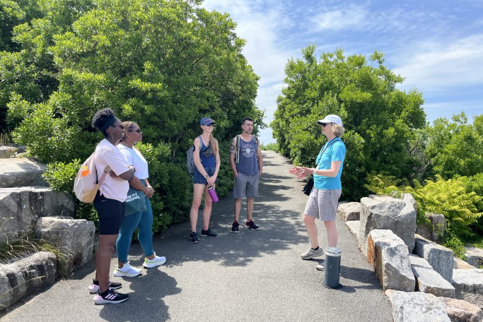 Guided Walking Tours 1