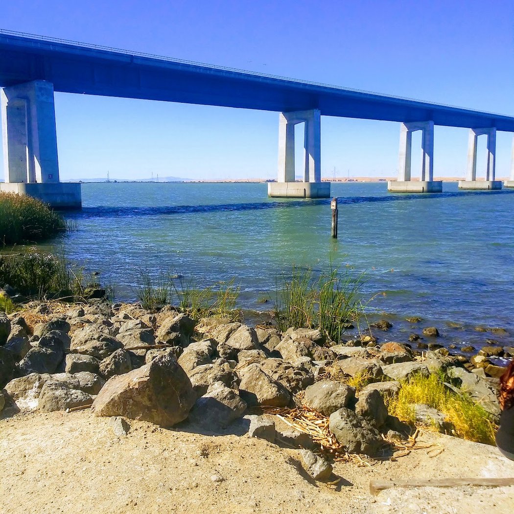 Antioch/Oakley Regional Shoreline 2