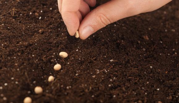 Seed Starting Class 1