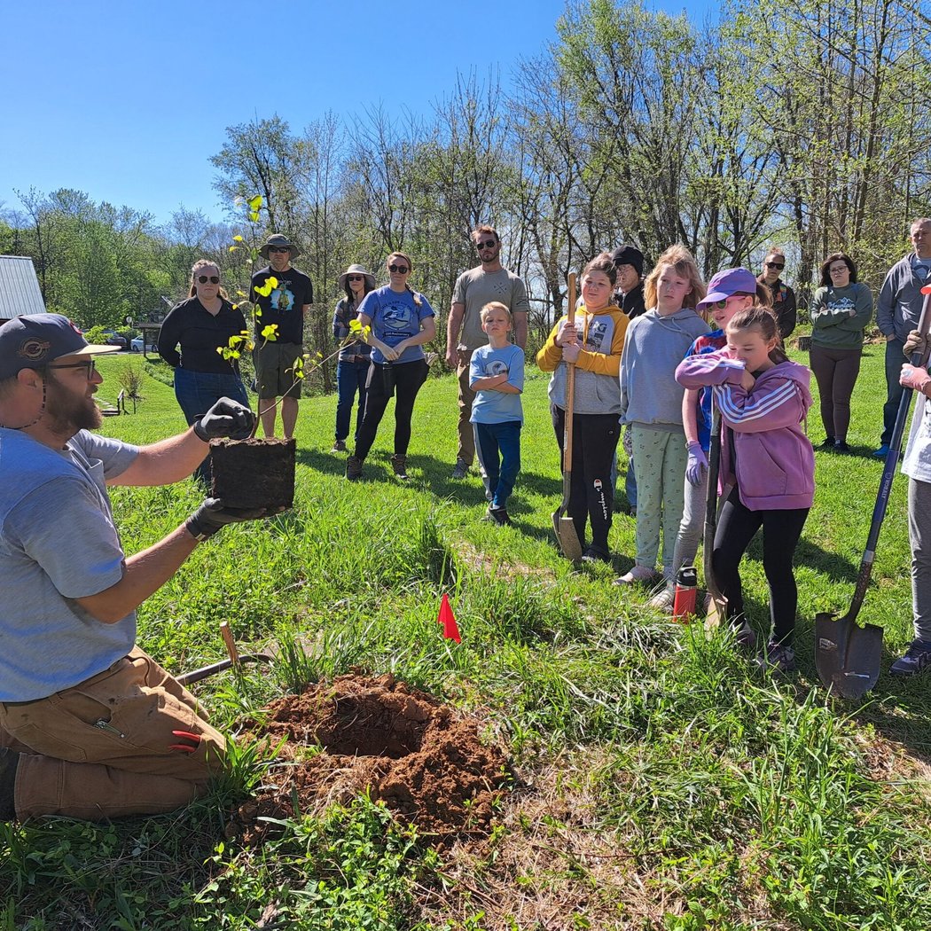 Free a Tree Volunteer Day 1