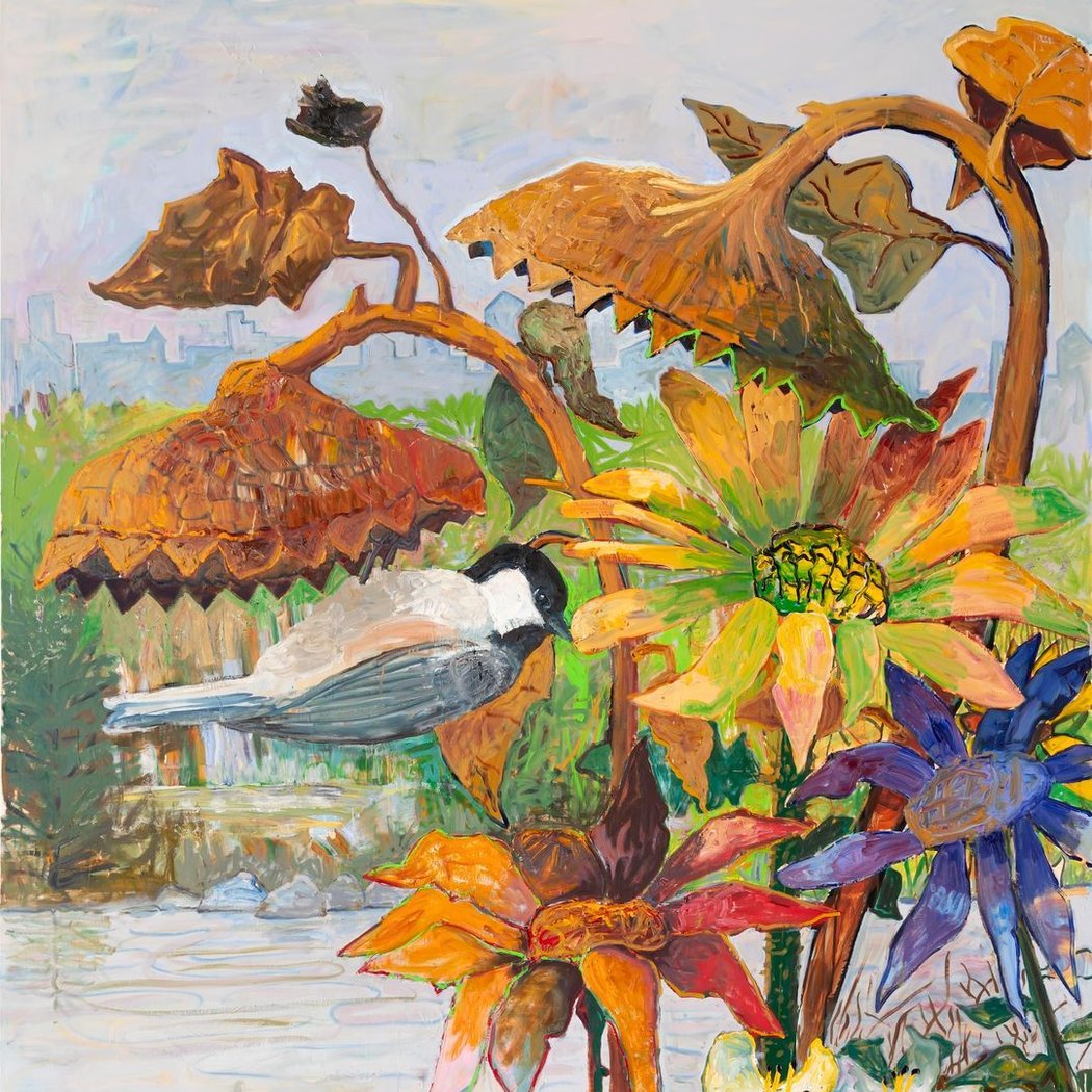 Wildlife 1