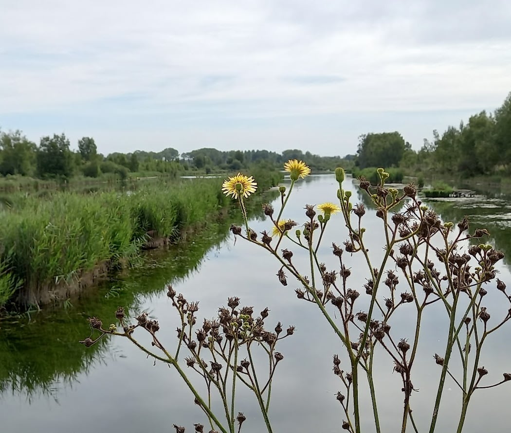 Marais de Sacy 4