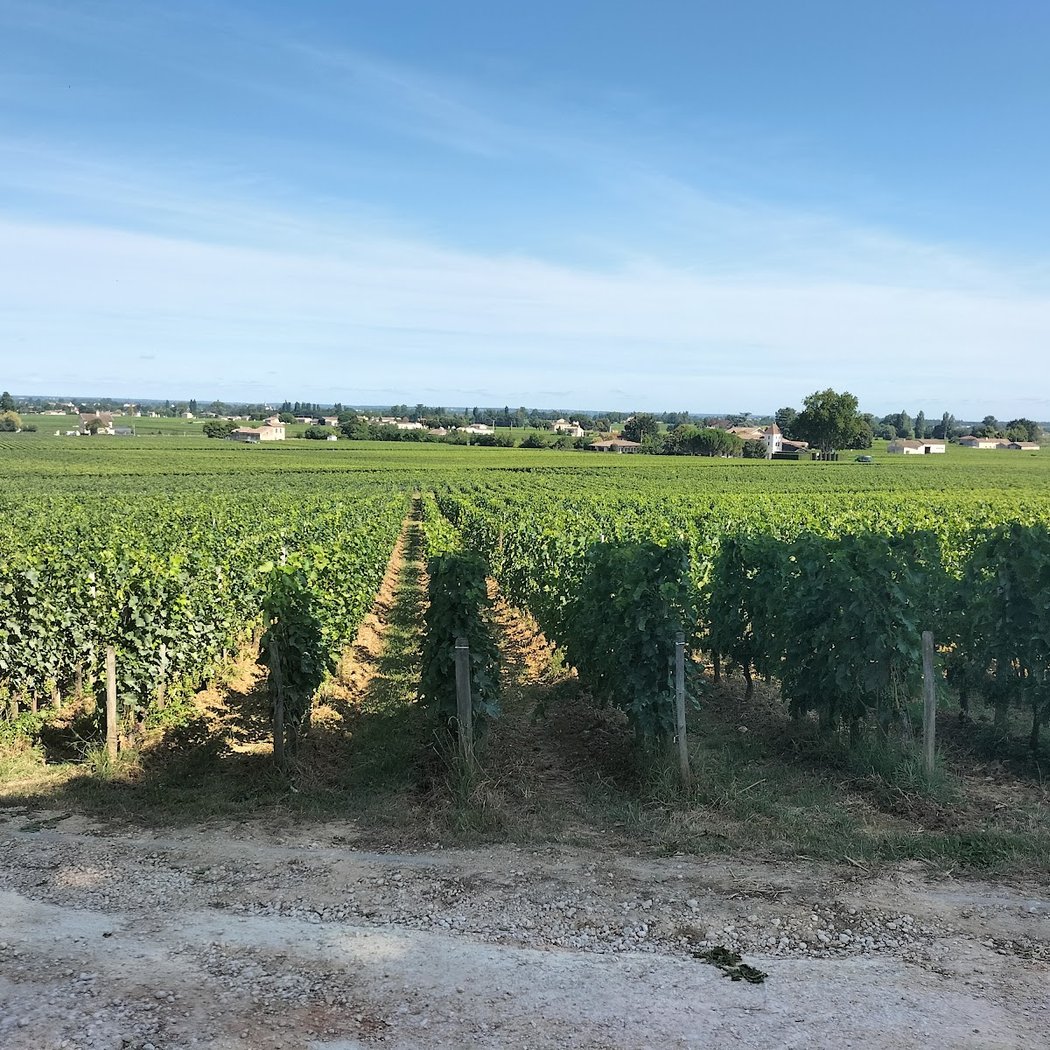 The Bordeaux Wine Tour 3
