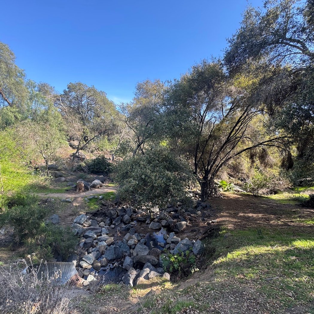 Felicita County Park 3