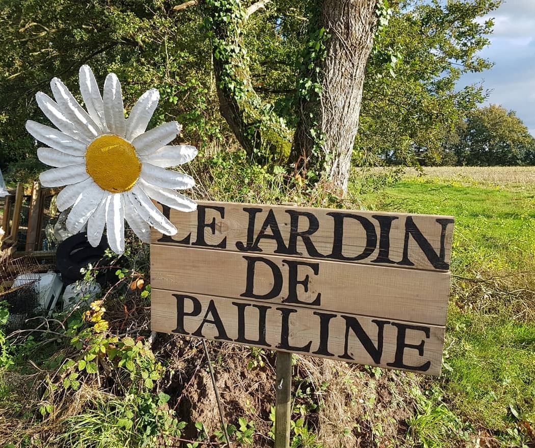 Le jardin de Pauline 85 - productrice de fleurs comestibles 2