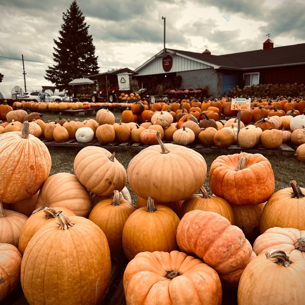 Alexander Farm Market & Greenhouses 1