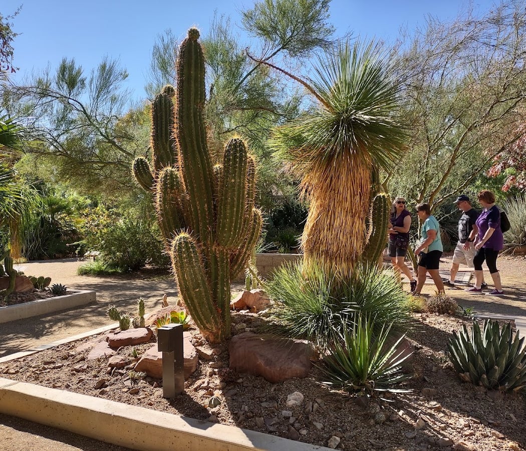 Desert Gardening 101 2