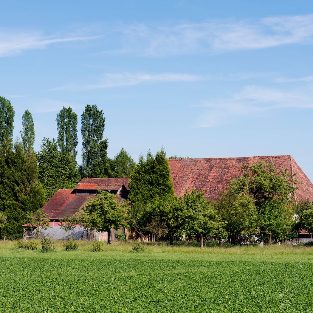 Domaine de la Bluette 2