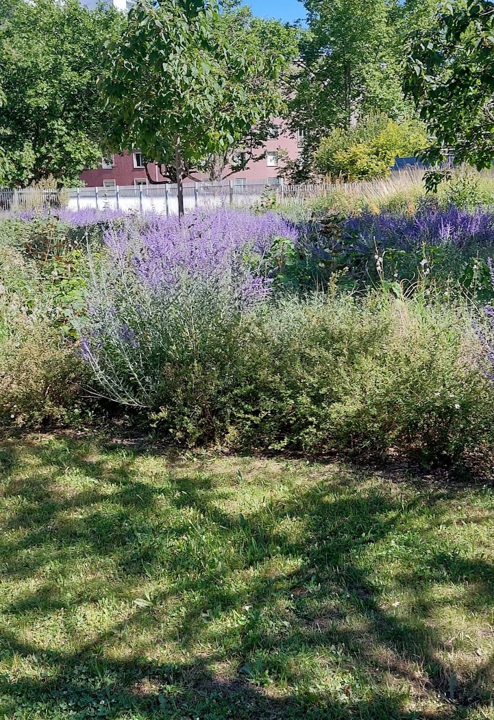 Parc des Courtilières 3