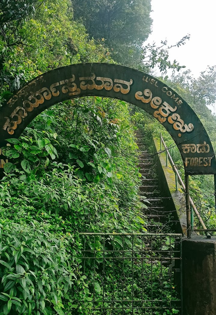 Agumbe 2